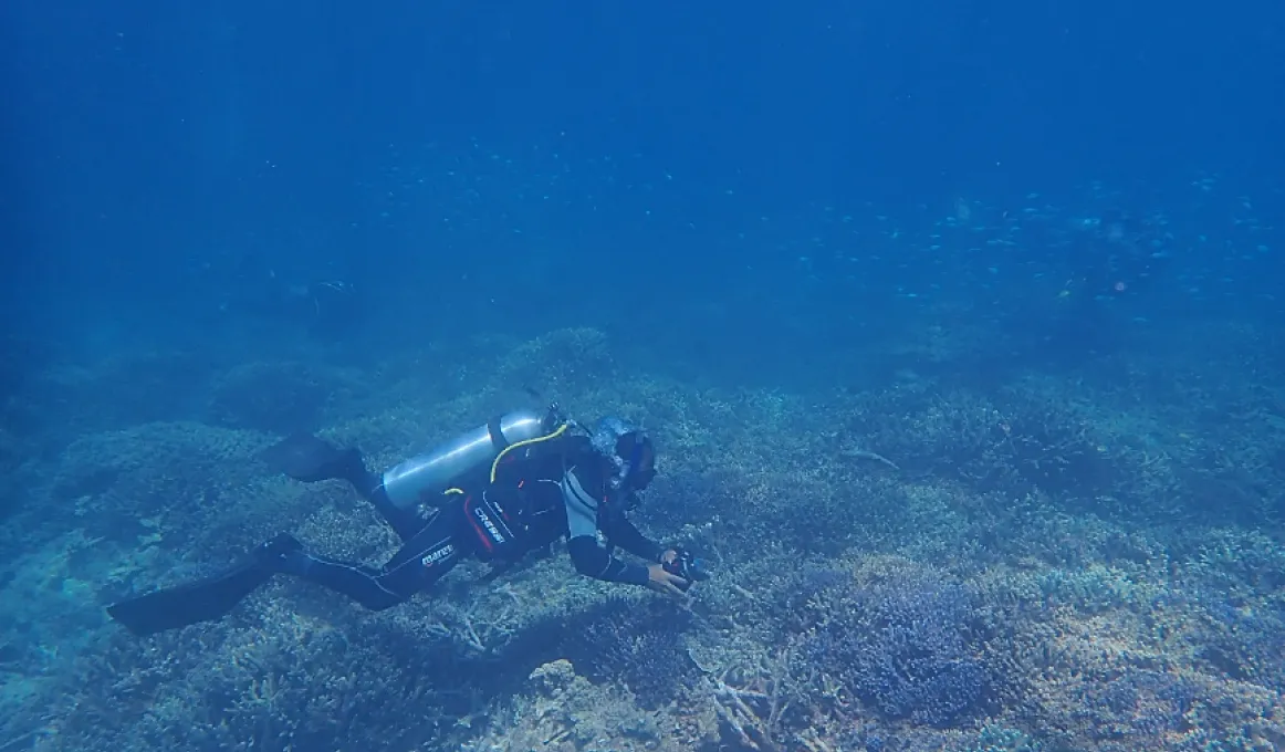 Kelvin Rowe scuba diving at Lady Elliot Island August 2023