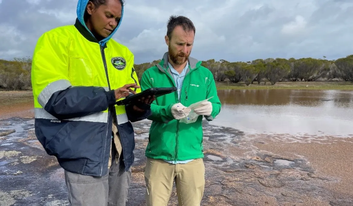 Tjaltjraak Healthy Country Team leader Hayleigh Graham recording eDNA sample data on the field data device and database.