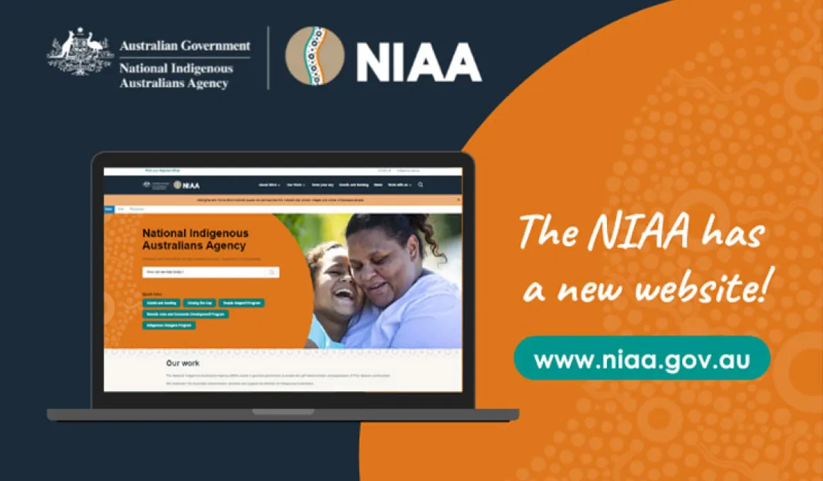 New NIAA website