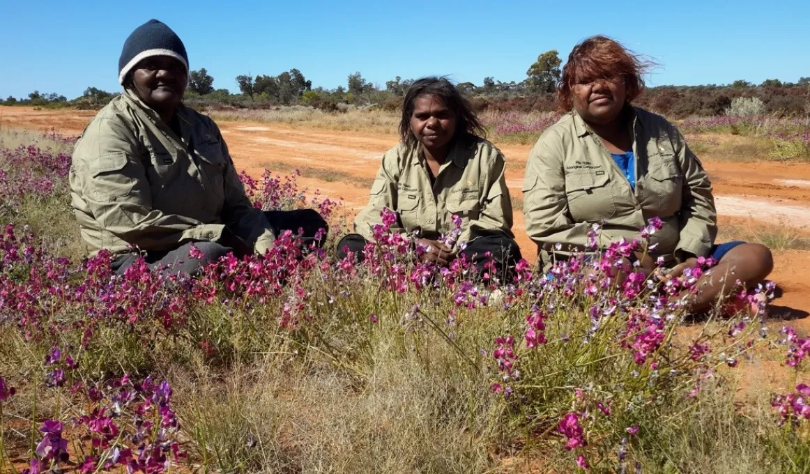 Three Aboriginal ladies sitting on the ground outside and surrounded by purple flowers.