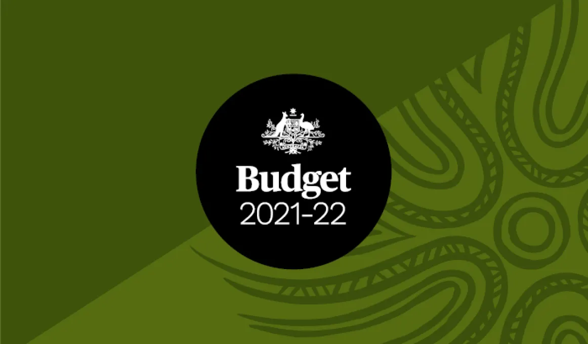 Green tile with indigenous designs and the text: Budget 2021-22