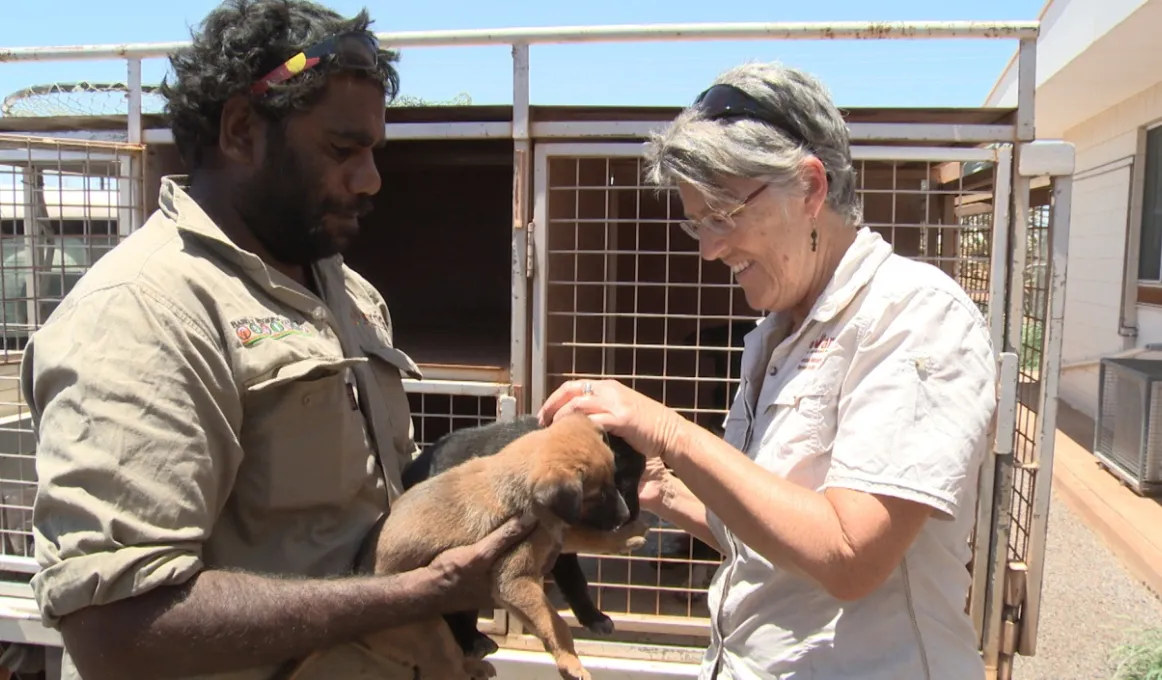 Vet and animal health worker holding a pup