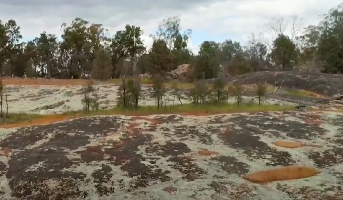 Large low and rounding rocks protrude from the soil. In the background are trees and a cloudy sky.