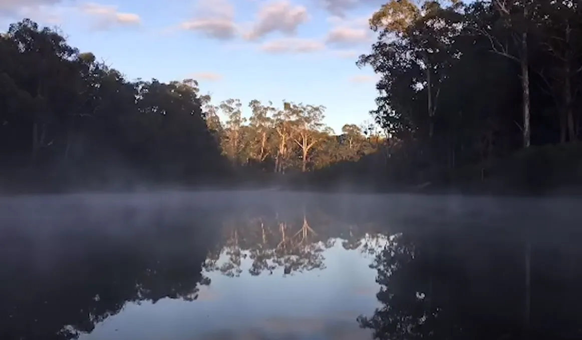 A close up photo of a still water lake with mist hovering over it and surrounded by trees and bush right up to the water. In the background is a blue sky with a few clouds.