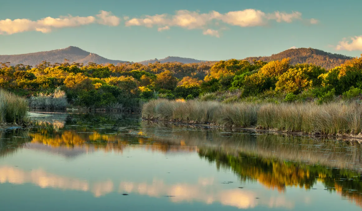 A photograph of a lake. At the lake's edge are grasses and mountains and trees in the background.