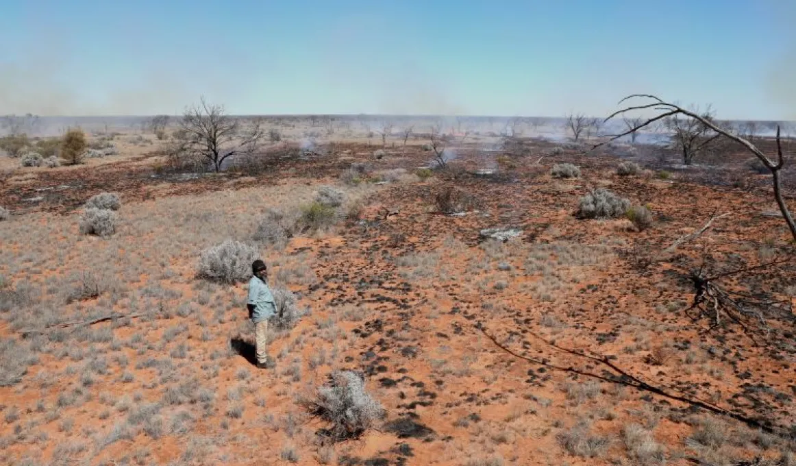 A man with black hair wearing a blue shirt and brown pants stands in the desert. Around him is dry bushes, red dirt and there is a tree with no leaves in the left hand corner.