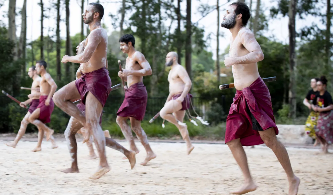 A group of males dressed in maroon loin cloths and holding sticks dance on sand. Behind them are two female dancers in shirts and wraps. In the background are trees.