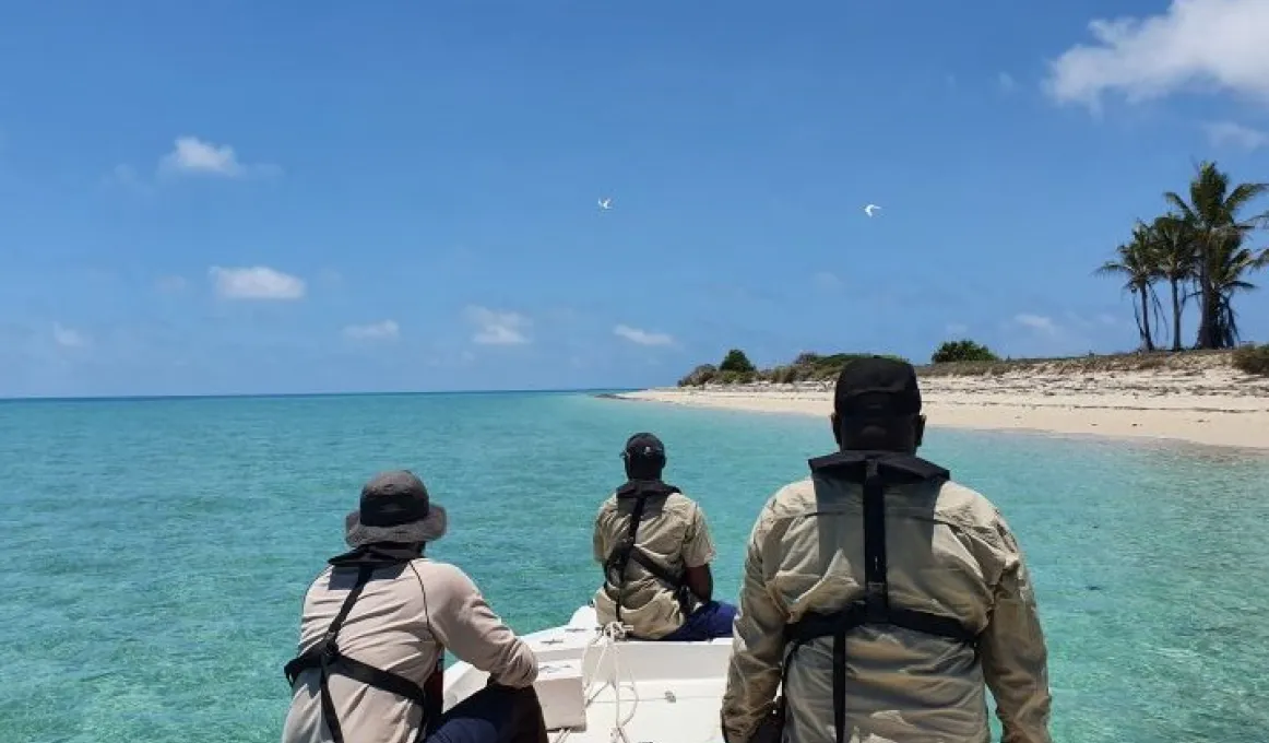 Three people in workwear sit in a boat which moves along clear and shallow water. In the background is a beach, trees and blue sky.