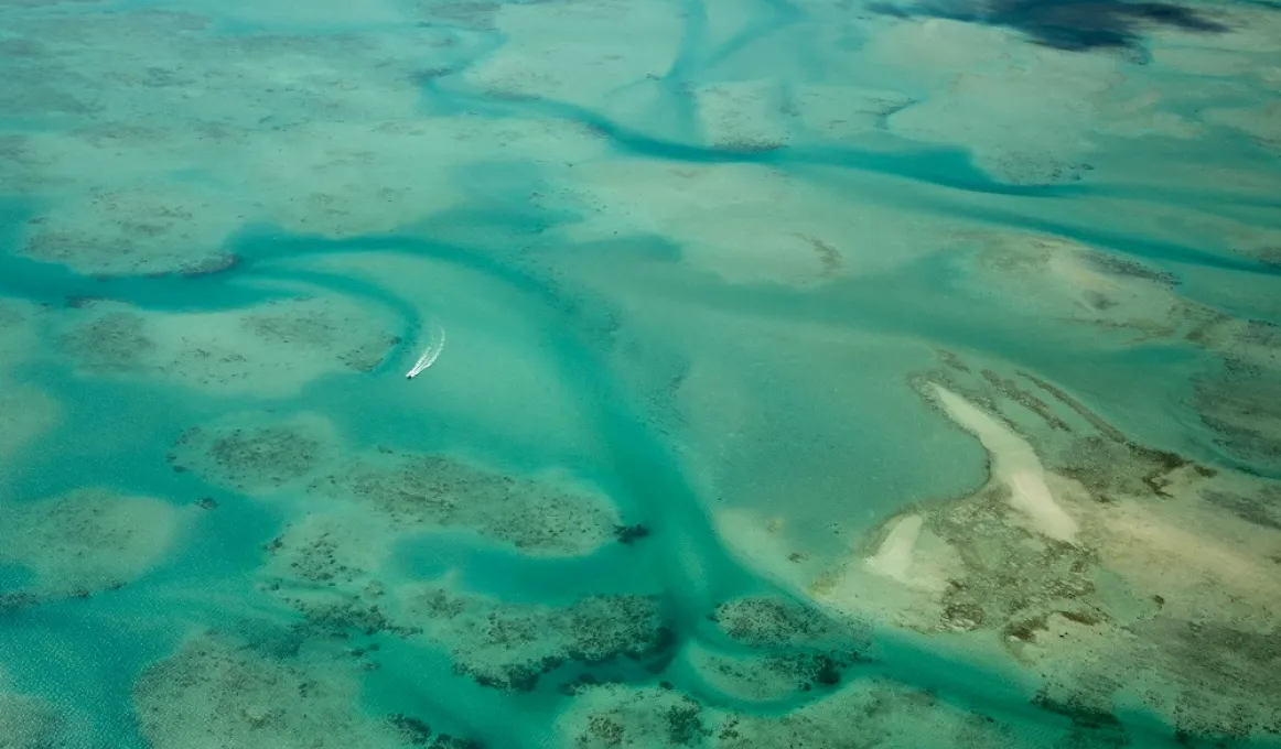 A large area of seabed with turquoise water sitting in gutters and over shallow sand banks, reef and grass beds.