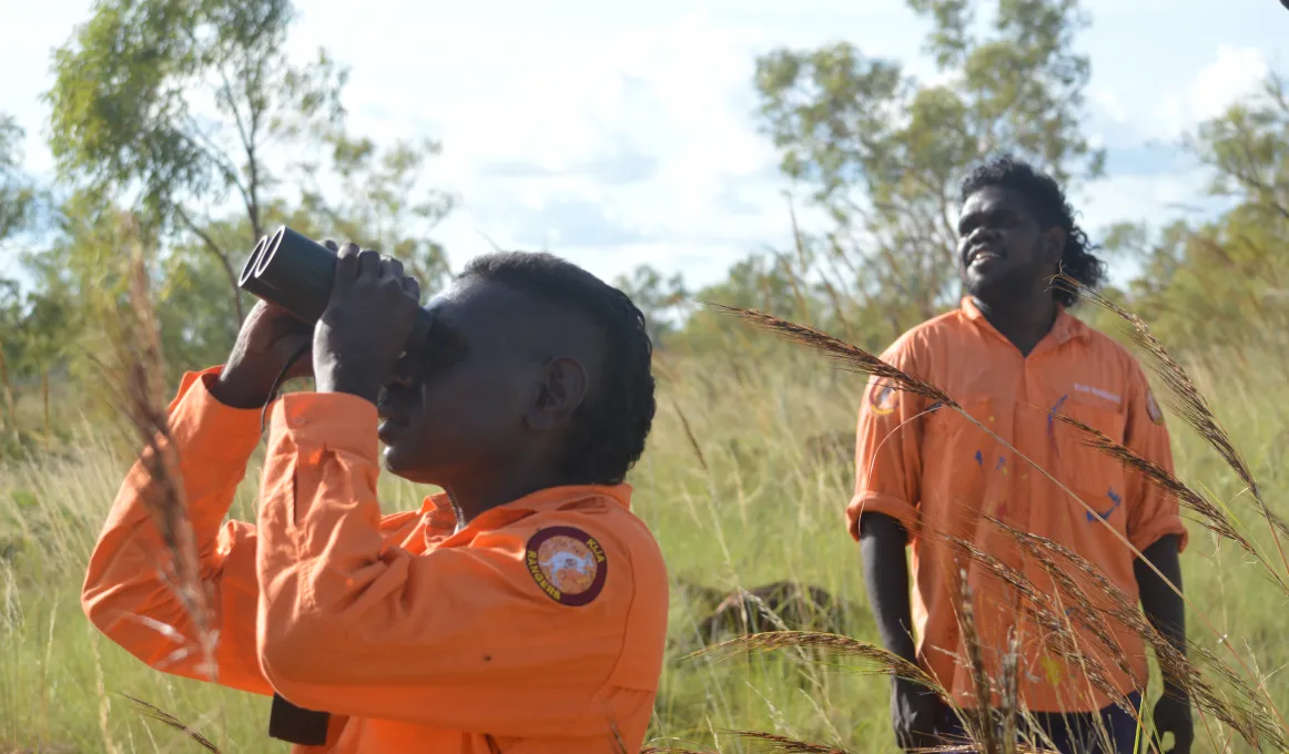 Kija Rangers Imran Paddy and Andrew Mung on Gouldian finch survey