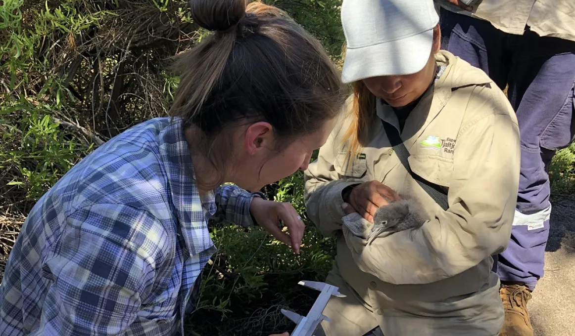 A woman in checked shirt at left holds a metal measuring device while a second woman in white hat and khaki jacket holds a small bird. In the background are bushes and the legs of another person.