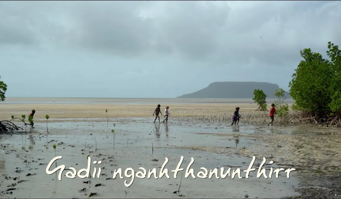 A group of youth walk across a wet and sandy beach between two sets of trees. In the background is more beach, an island and a cloudy sky. Text at the base of the image means Come with us in the Guugu Yimithirr language.