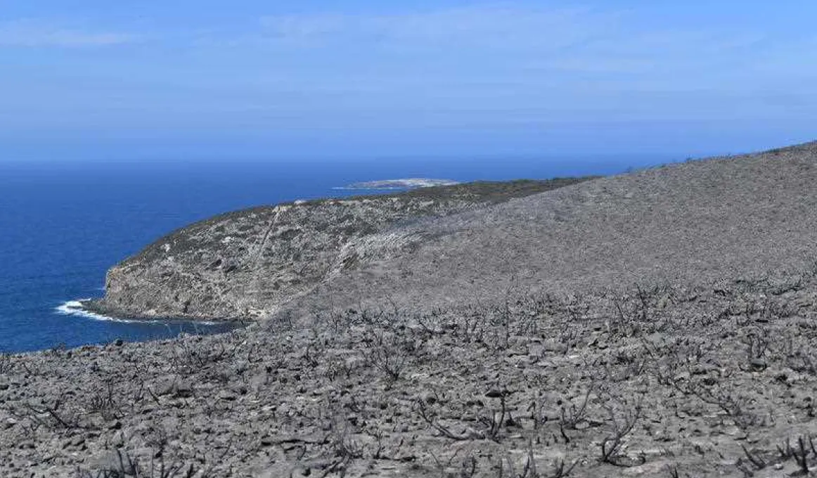 In the foreground is grey stubble on burnt land and in the background is blue sea and sky.