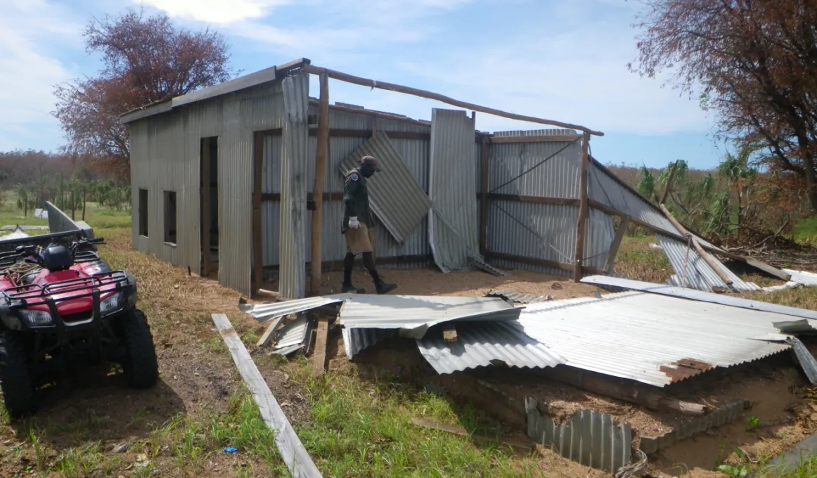 Ranger inspecting a damaged galvanised iron shed with grass in the foreground and trees in the background.