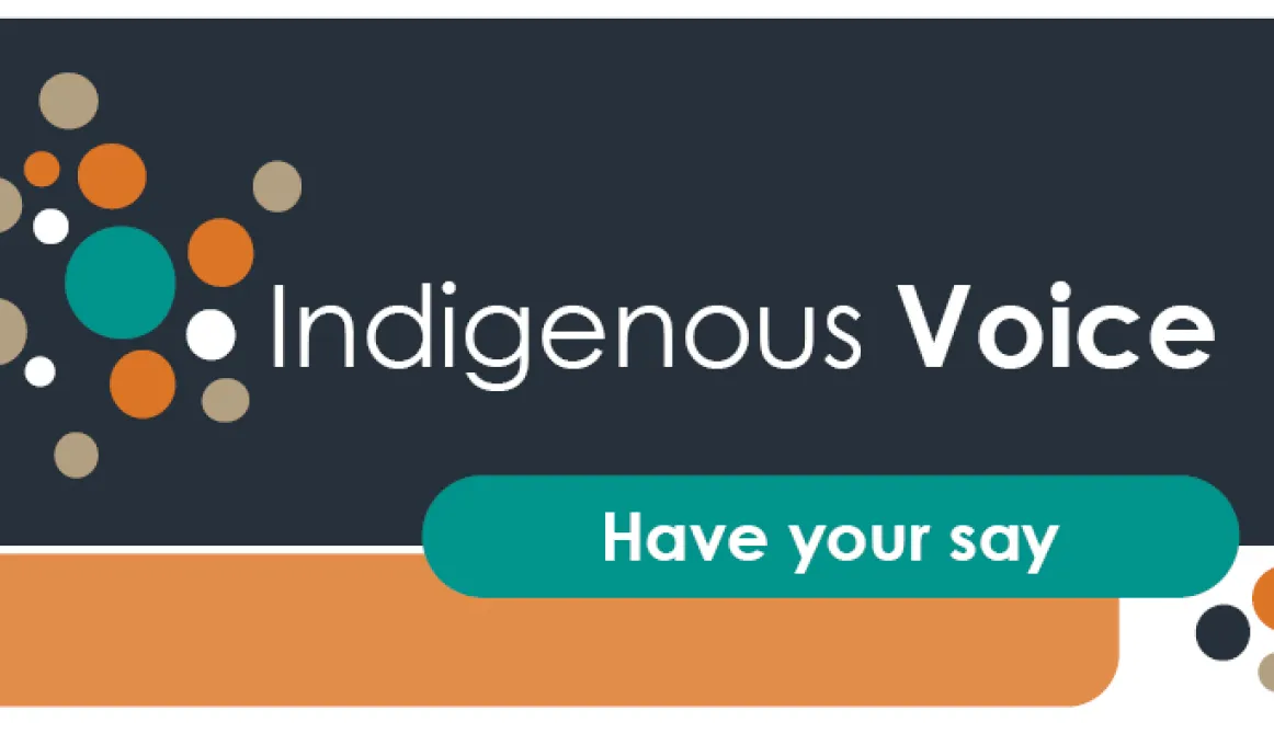 Indigenous Voice - Have your say