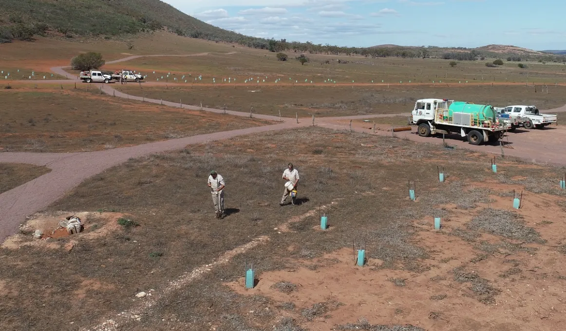 Two men in beige workwear stand on open ground near some newly planted saplings held up with posts and feral animal protection. In the background are trucks, a hill and blue sky.