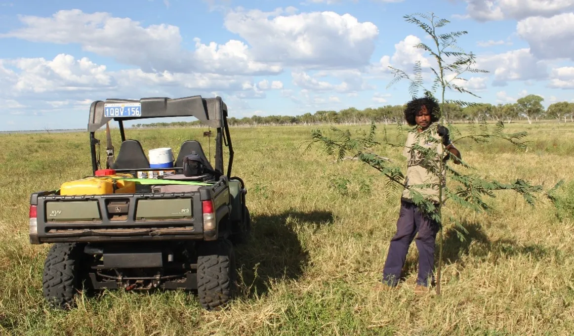 Aboriginal man in ranger uniform stands on grassy plain with one hand on tall leafy plant. At left is a small work vehicle and in the background are trees and above is a cloud filled sky.