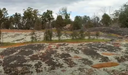 Large low and rounding rocks protrude from the soil. In the background are trees and a cloudy sky.