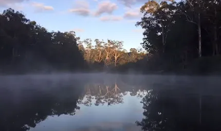 A close up photo of a still water lake with mist hovering over it and surrounded by trees and bush right up to the water. In the background is a blue sky with a few clouds.