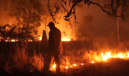 A ranger in protective work wear walks ahead of a line of fire he has begun in long grass at night. In the background is another line of fire, some trees and a termite mound.