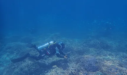 Kelvin Rowe scuba diving at Lady Elliot Island August 2023