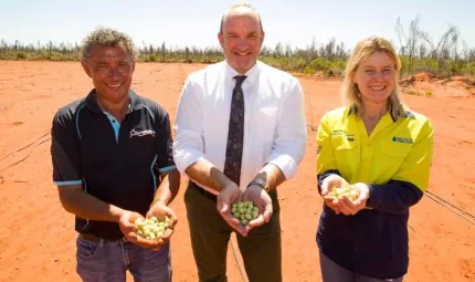 Three people stand on red dirt, each holding Kakadu plums in their cupped hands. The man on the left is wearing a black shirt, the man in the middle is wearing a white business shirt and tie, and the woman on the right is wearing a yellow and black shirt