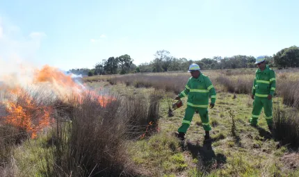 Two rangers dressed in green uniforms and white hats setting fire to long grass.