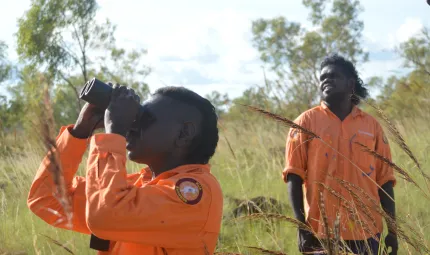 Kija Rangers Imran Paddy and Andrew Mung on Gouldian finch survey