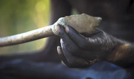 A spear with a flint head is held by an old Aboriginal hand.