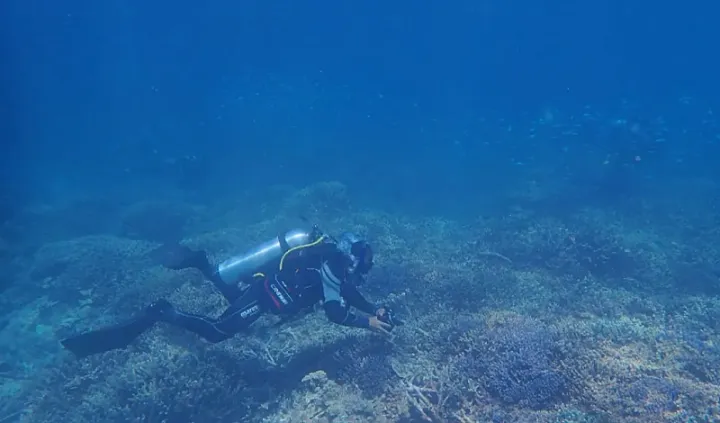 Kelvin Rowe scuba diving at Lady Elliot Island August 2023. Courtesy: Sea Ranger Finn Bryant.