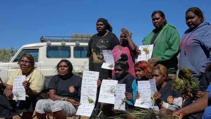 Martu Women’s Traditional Flora Camp