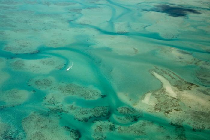 A large area of seabed with turquoise water sitting in gutters and over shallow sand banks, reef and grass beds.