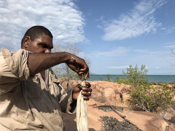 Aboriginal man in ranger uniform works on a rodent trap made of material and wire. In the background is rock, bushes, the sea and a blue and cloudy sky.
