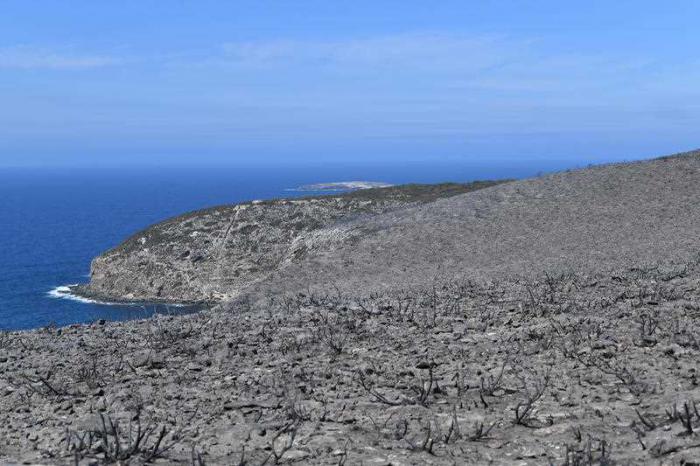 In the foreground is grey stubble on burnt land and in the background is blue sea and sky.