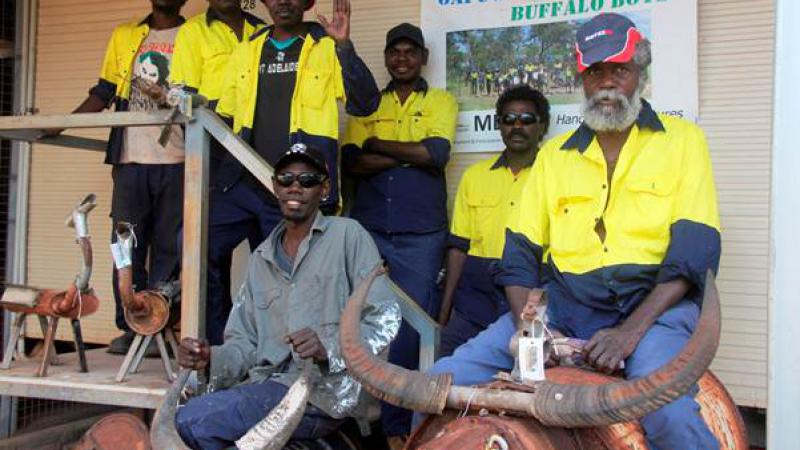 The Buffalo Boys of Gapuwiyak are an RJCP work crew that are learning valuable welding and metalwork skills creating metal sculptures of animals. The sculptures are proving a hit, with customers lining up to buy them.