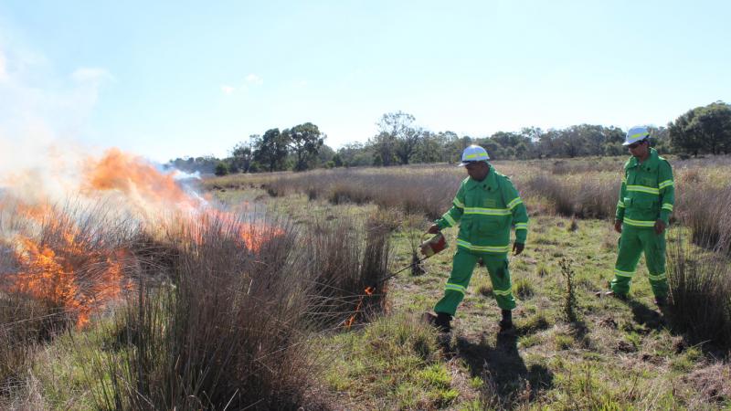 Two rangers dressed in green uniforms and white hats setting fire to long grass.