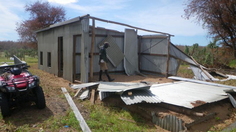 Ranger inspecting a damaged galvanised iron shed with grass in the foreground and trees in the background.