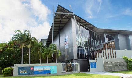 Grey building with many windows. At left are palm trees and others trees and a bush. In front is grass, a walkway and walls.