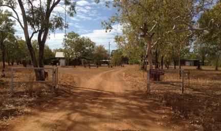 A dirt road leads through a gate. Near the gate are trees and beyond that are more trees and buildings.