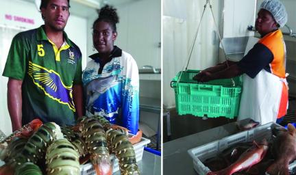 Two images. At left: A young adult man and young adult woman stand side by side. Before them is a tray of lobsters. At right: A middle aged woman places a fish on a scale. Before here is a tray of fish and behind her is a large fridge.