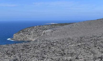 In the foreground is grey stubble on burnt land and in the background is blue sea and sky.