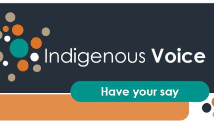 Indigenous Voice - Have your say